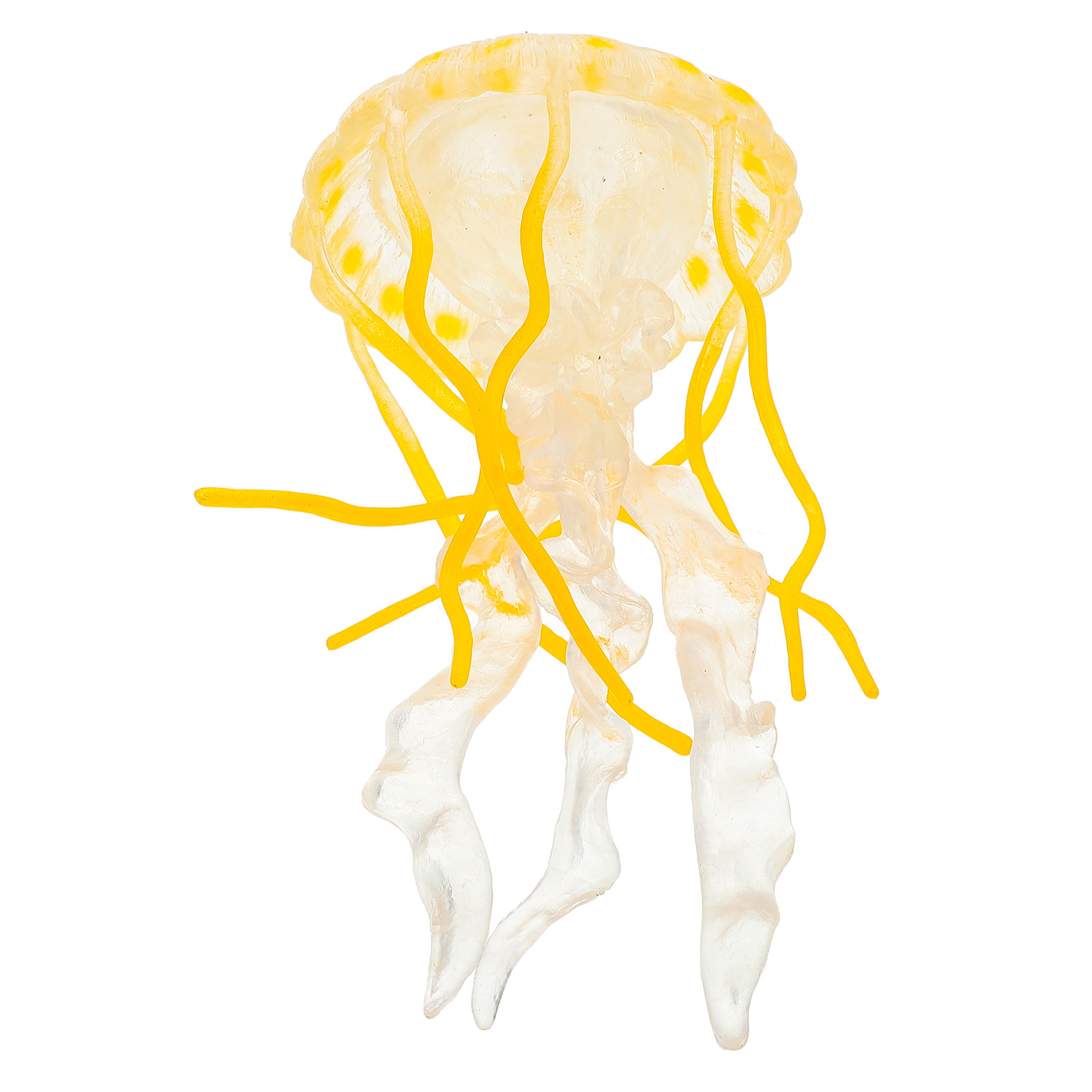 Marine Life Aquariums - Realistic Jellyfish Simulation Marine Life Educational