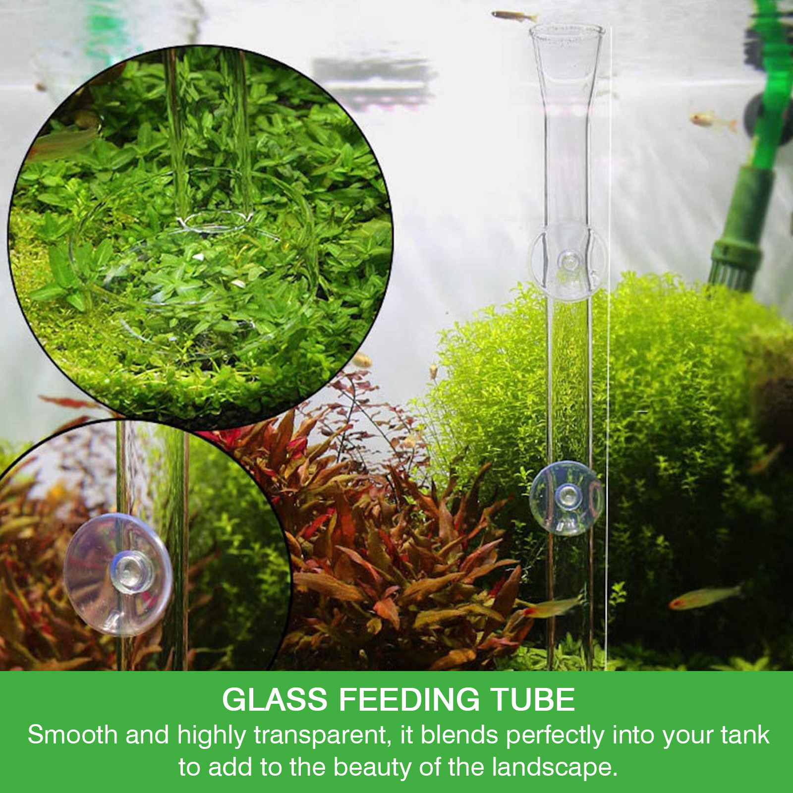 Coral Food Liquid - Aquarium Shrimp Feeder Tube Transparent Acrylic