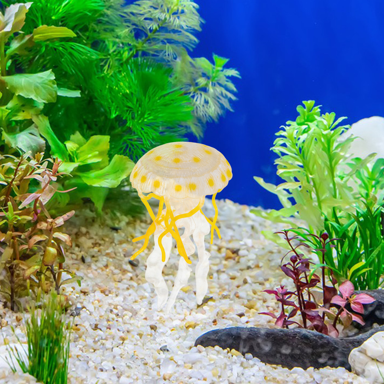 Realistic Jellyfish Simulation - Marine Life Aquariums ulasan dan harga