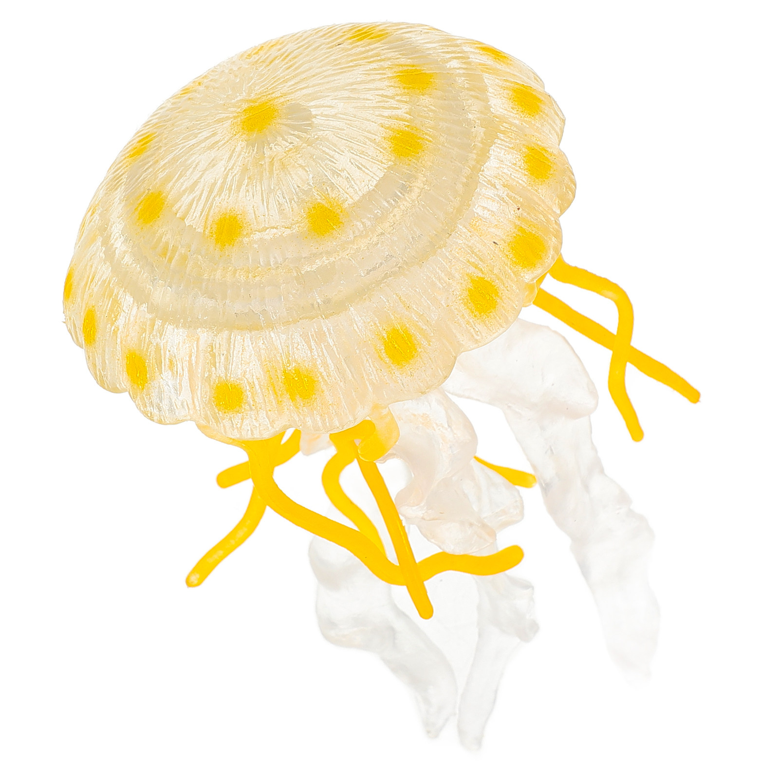 Realistic Jellyfish Simulation - Marine Life Aquariums ulasan dan harga