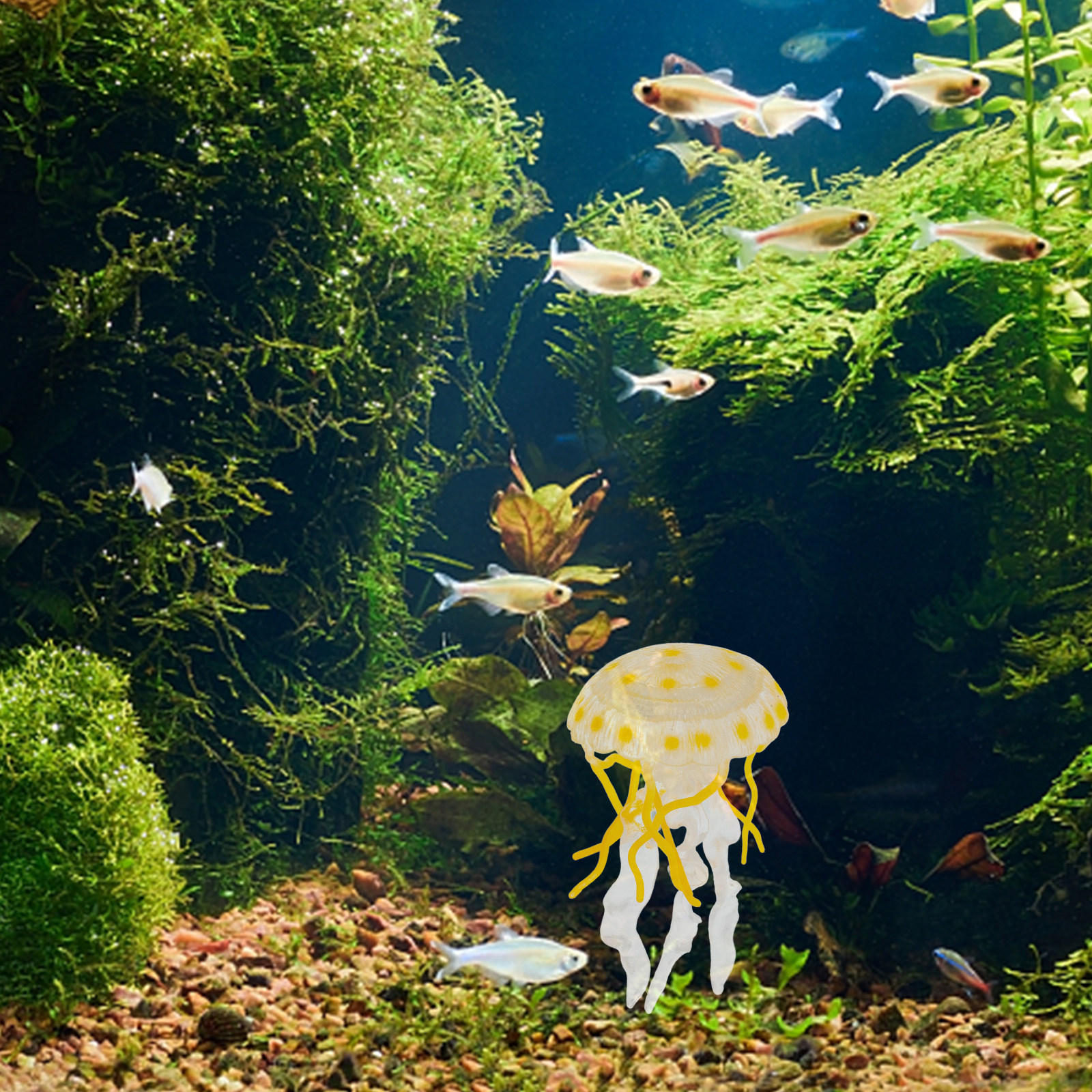 Realistic Jellyfish Simulation - Marine Life Aquariums ulasan dan harga