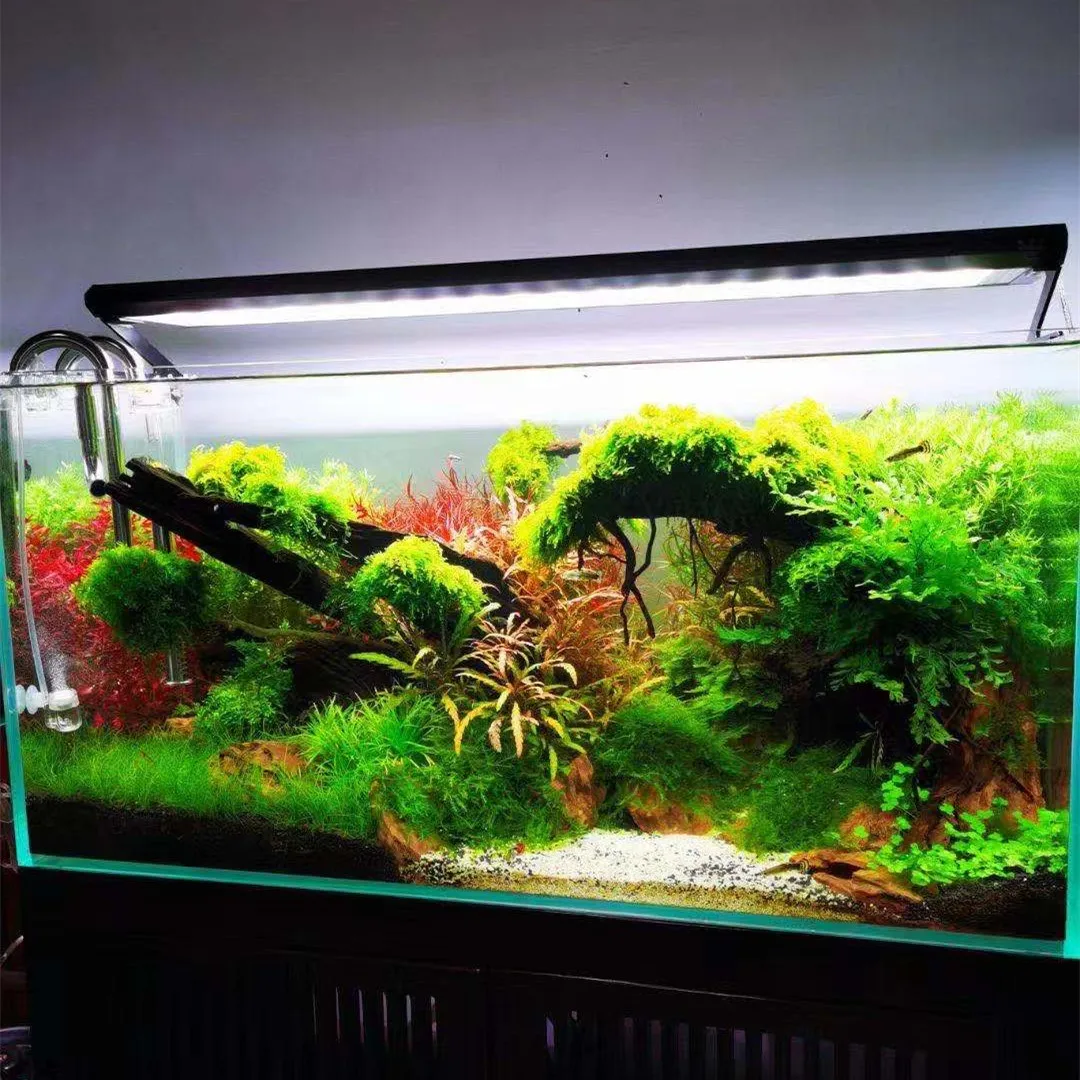 Week Aqua P Series Ver.3 P600  - Marine Aquarium Led Lights ulasan dan harga