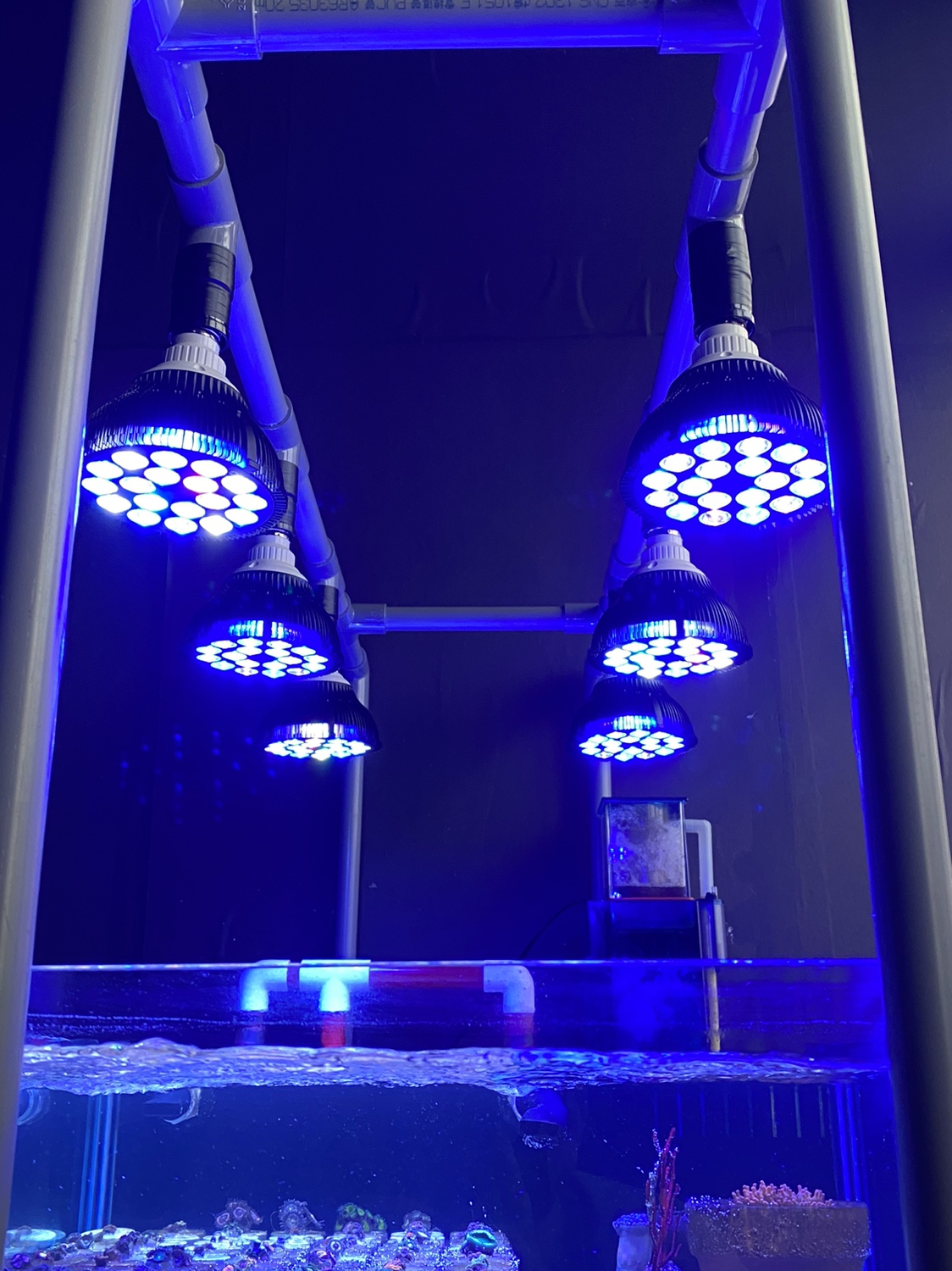 Full specturm LED Aquarium Ree - Marine Aquarium Led Lights ulasan dan harga