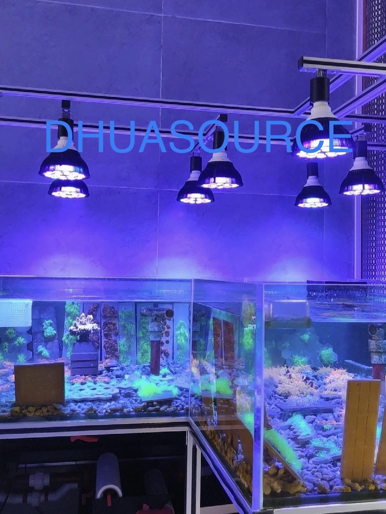 Full specturm LED Aquarium Ree - Marine Aquarium Led Lights ulasan dan harga