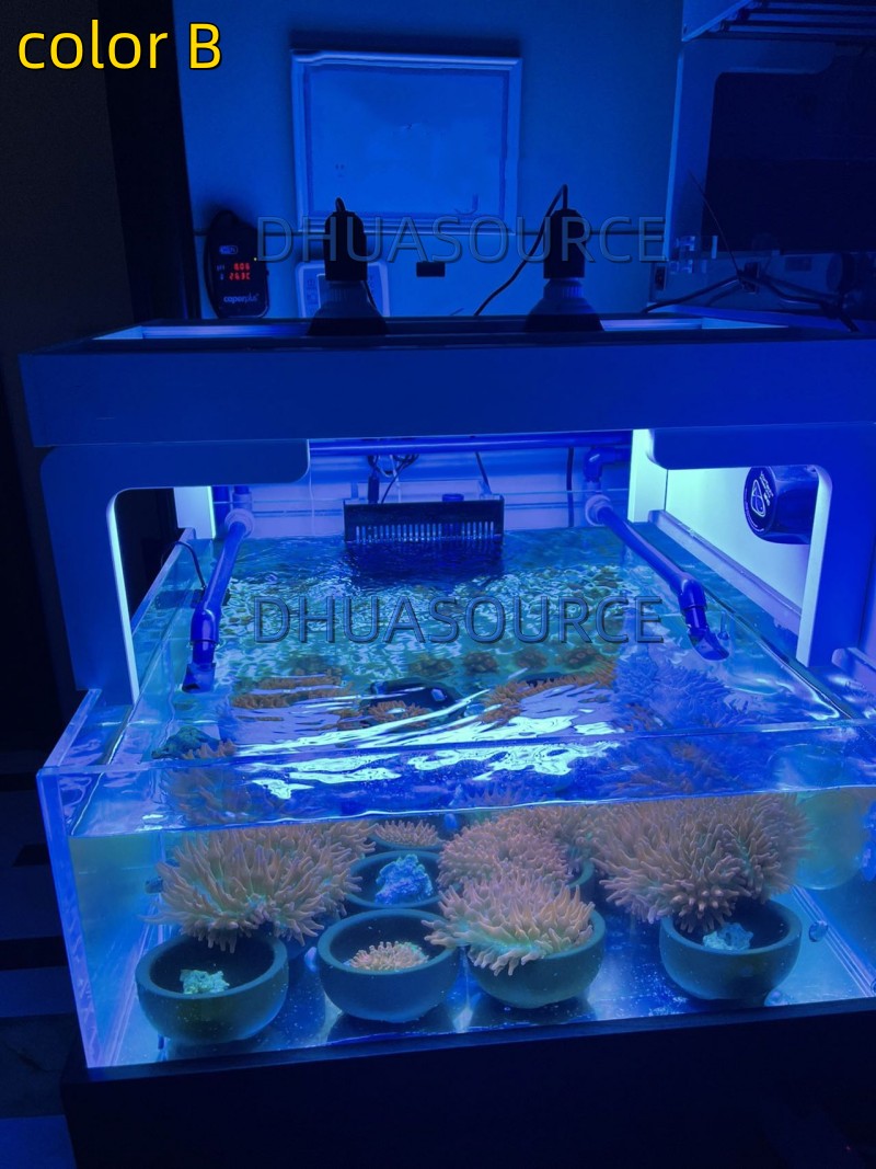 Full specturm LED Aquarium Ree - Marine Aquarium Led Lights ulasan dan harga