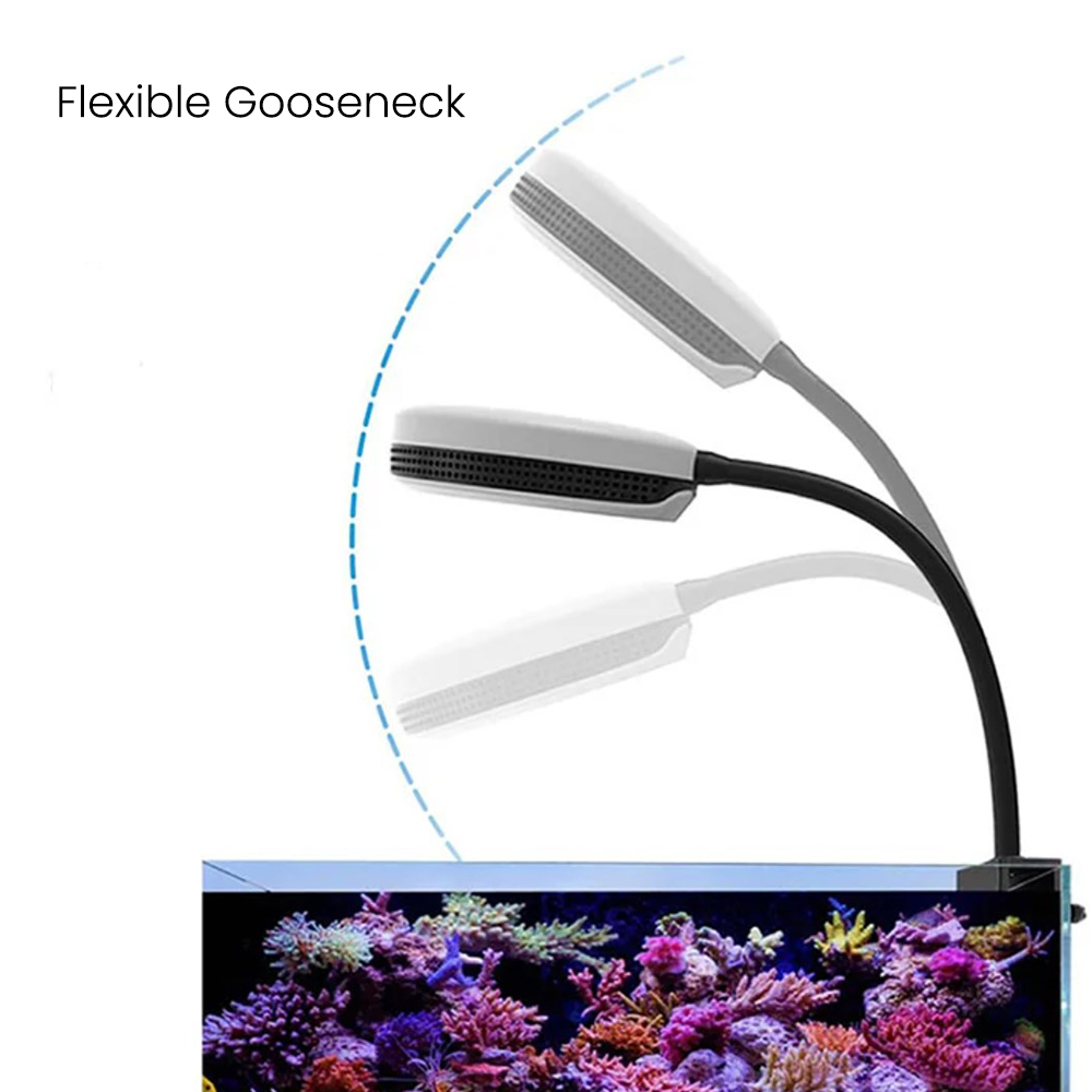 Spectra SP20 110-240V 20W Fres - Marine Aquarium Led Lights ulasan dan harga