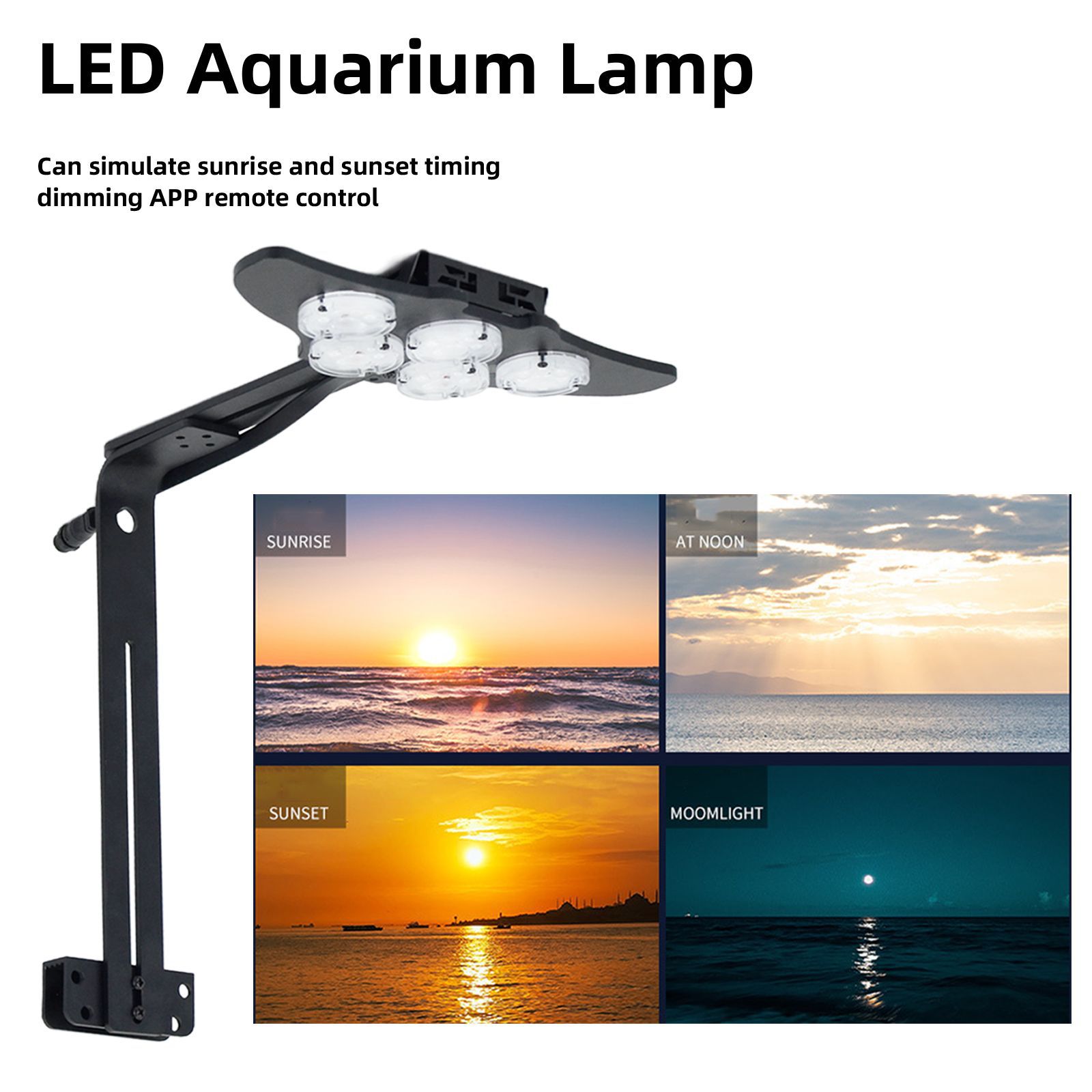 LED Marine Aquarium Coral Aqua - Marine Aquarium & Regional Centre Photos ulasan dan harga