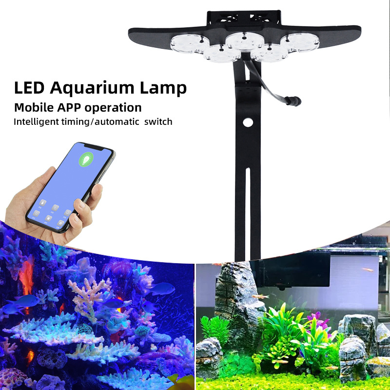 LED Marine Aquarium Coral Aqua - Marine Aquarium & Regional Centre Photos ulasan dan harga