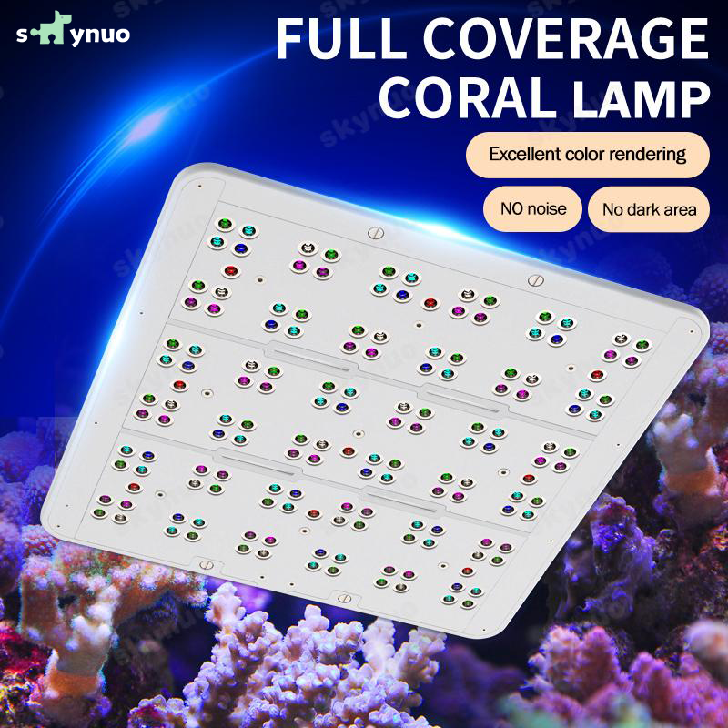 Hot KASSRAY T169/T215 CREEs LE - Marine Aquarium & Regional Centre Photos ulasan dan harga