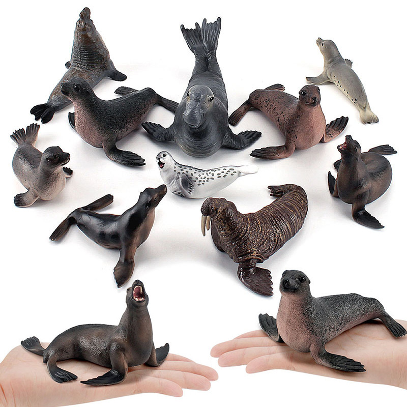 Simulation Ocean Animal Seals  - Marine Life Aquariums ulasan dan harga