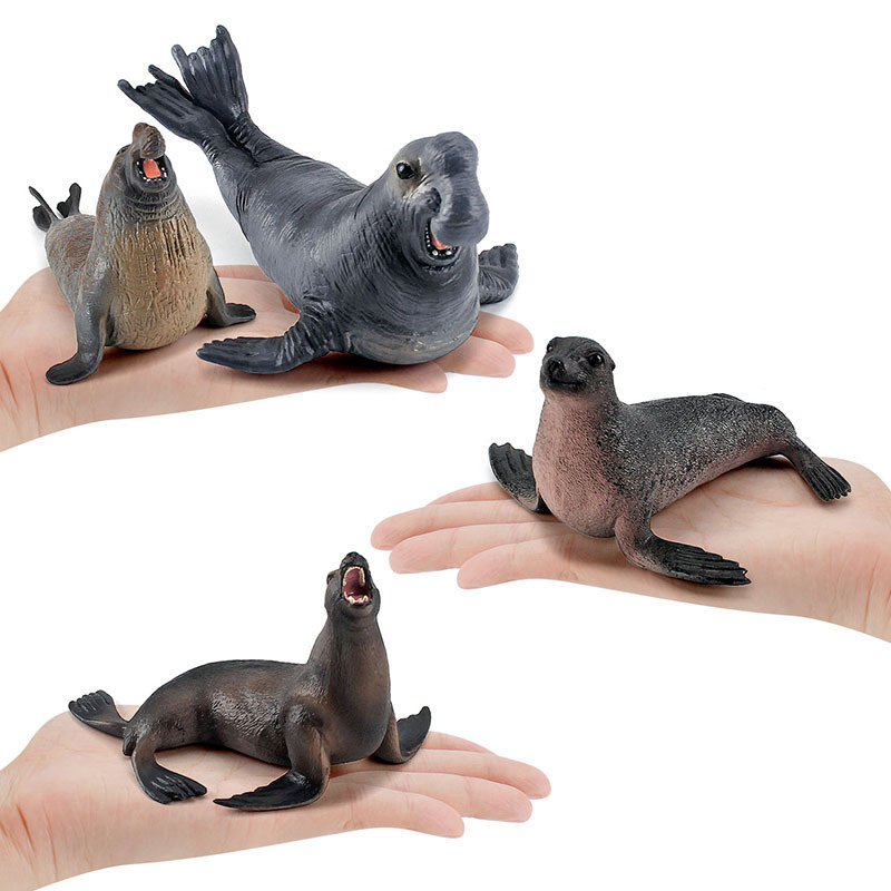 Simulation Ocean Animal Seals  - Marine Life Aquariums ulasan dan harga