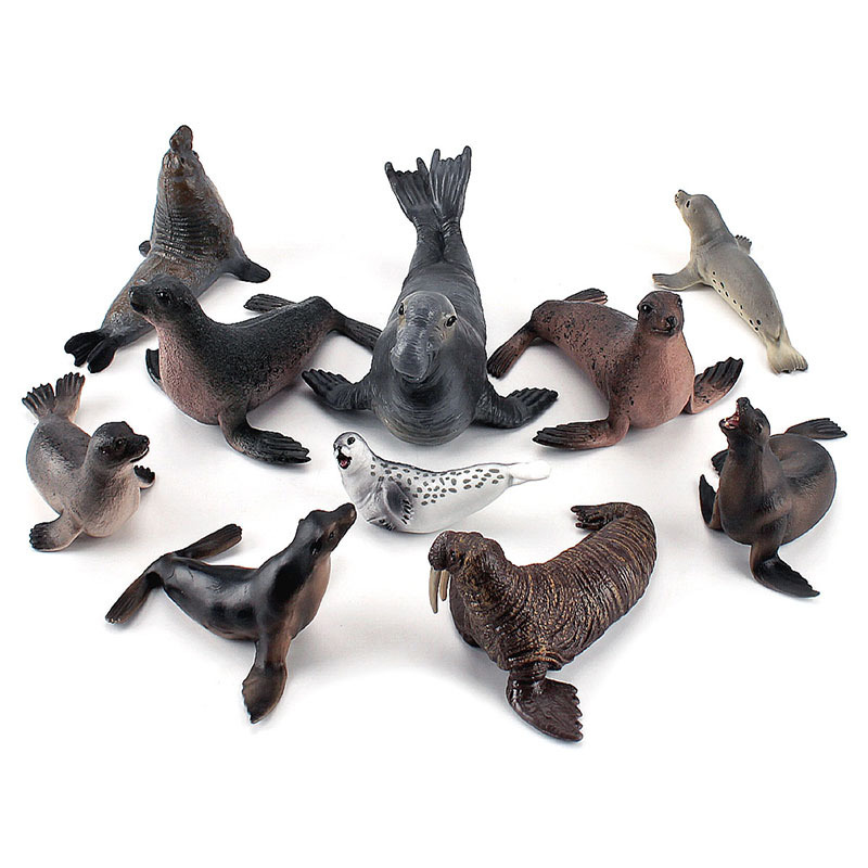 Simulation Ocean Animal Seals  - Marine Life Aquariums ulasan dan harga