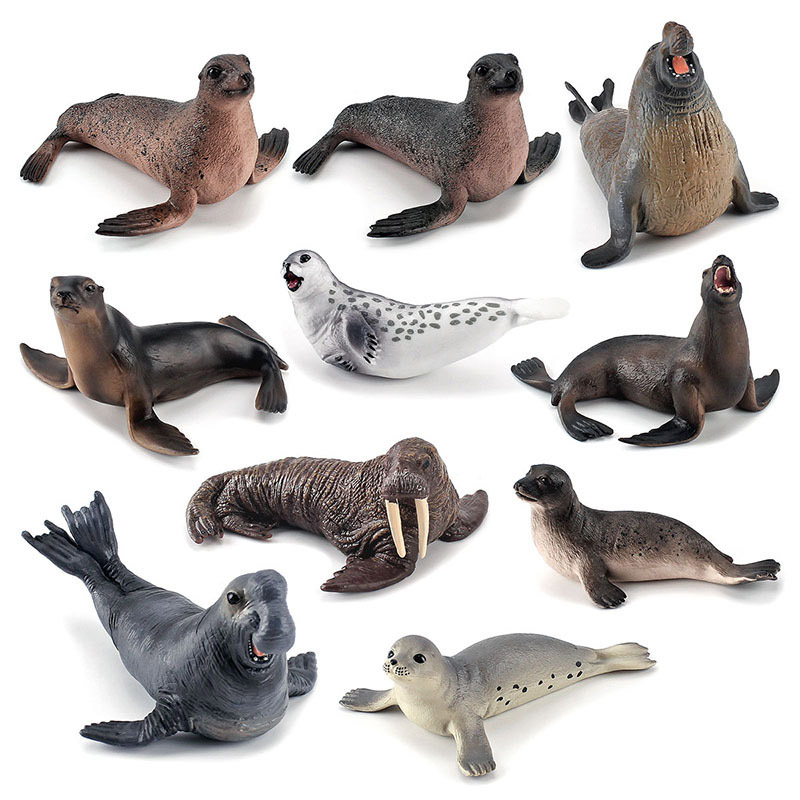 Simulation Ocean Animal Seals  - Marine Life Aquariums ulasan dan harga