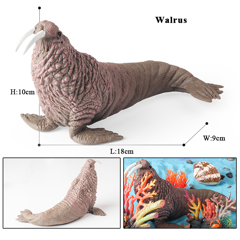 Oenux New Sea Life Seal Sea li - Marine Life Aquariums ulasan dan harga
