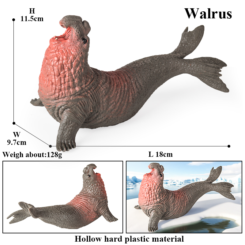 Oenux New Sea Life Seal Sea li - Marine Life Aquariums ulasan dan harga