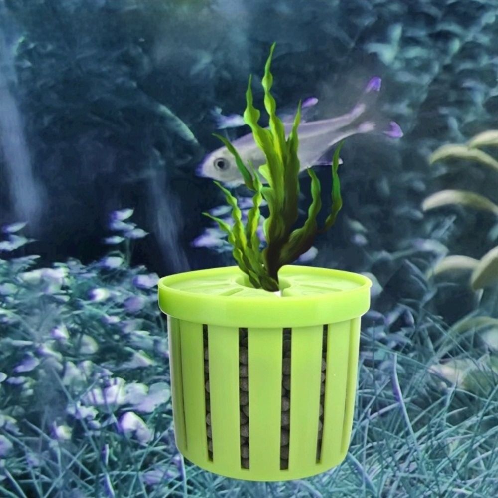 4PCS Water Plant Stand Fish Ta - Marine Aquarium Glass Cleaner ulasan dan harga