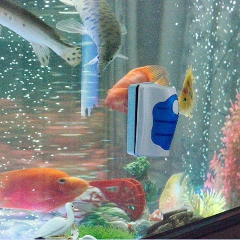 Fish Tank Glass Scraper Cleane - Marine Aquarium Glass Cleaner ulasan dan harga