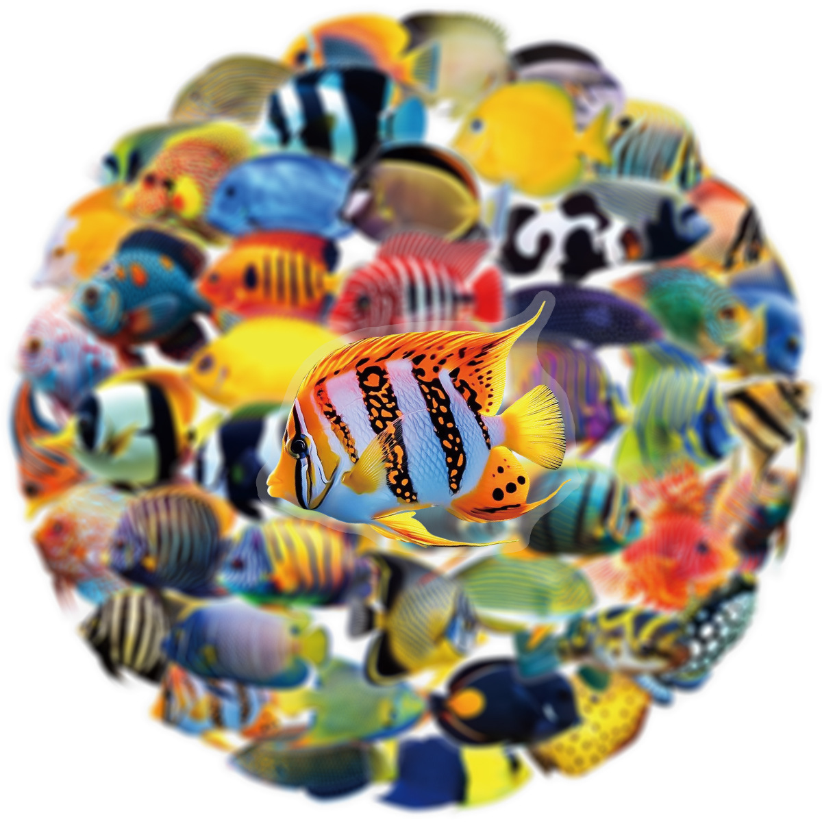 50/100 Pcs PET Transparent Mar - Marine Aquarium & Regional Centre Photos ulasan dan harga