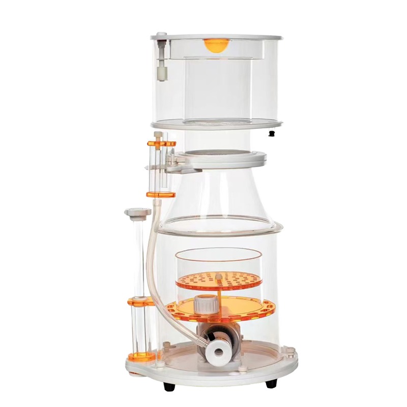 【Best-selling】DC Powered Preci - Marine Aquarium & Regional Centre Photos ulasan dan harga