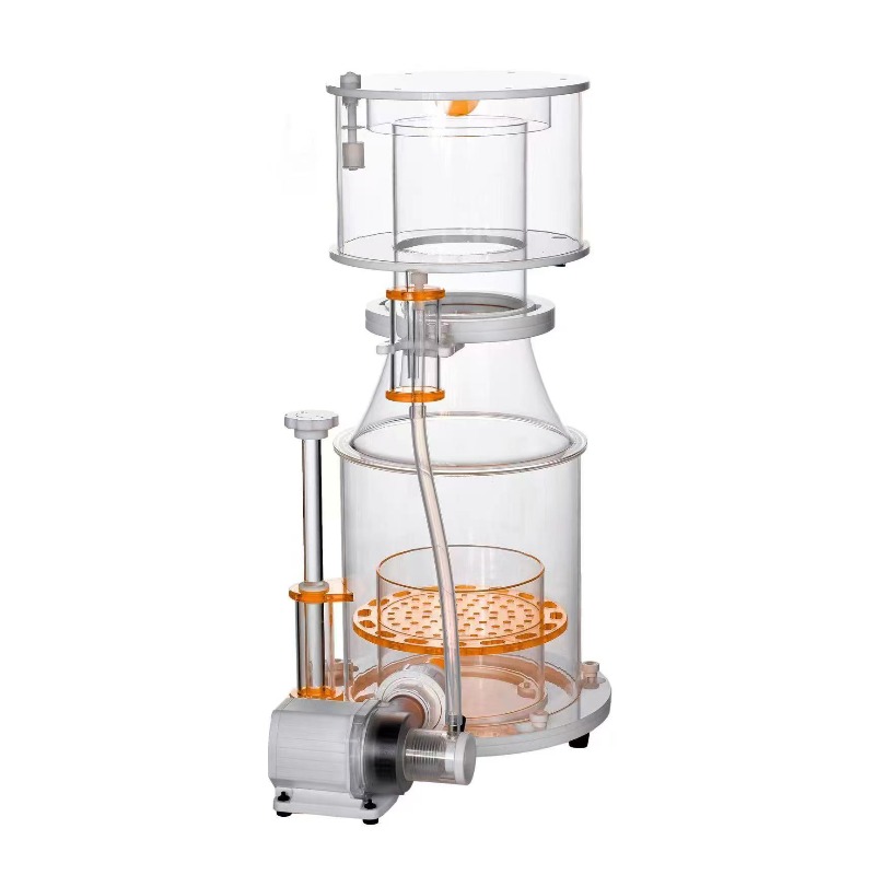 【Best-selling】DC Powered Preci - Marine Aquarium & Regional Centre Photos ulasan dan harga