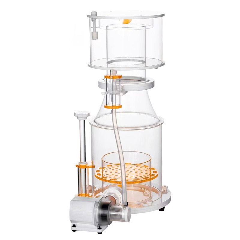 【Best-selling】DC Powered Preci - Marine Aquarium & Regional Centre Photos ulasan dan harga