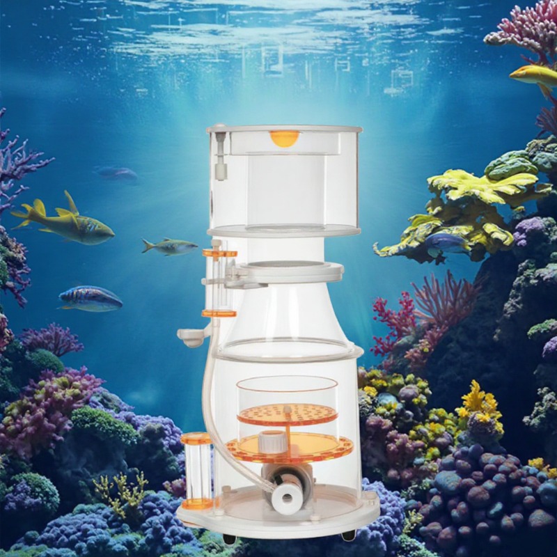 【Best-selling】DC Powered Preci - Marine Aquarium & Regional Centre Photos ulasan dan harga