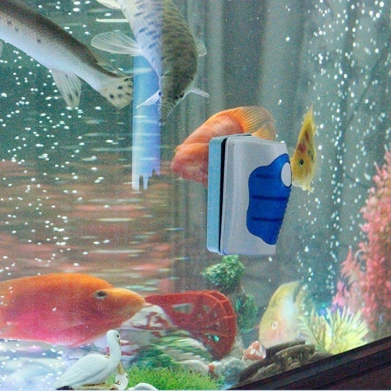 Fish Tank Glass Scraper Cleane - Marine Aquarium Glass Cleaner ulasan dan harga