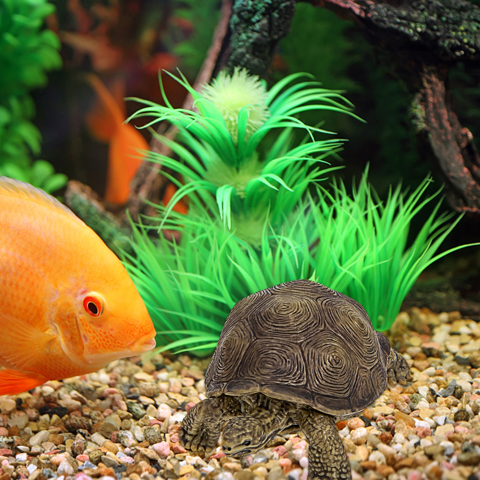 2Pcs Realistic Turtle Sculptur - Marine Life Aquariums ulasan dan harga