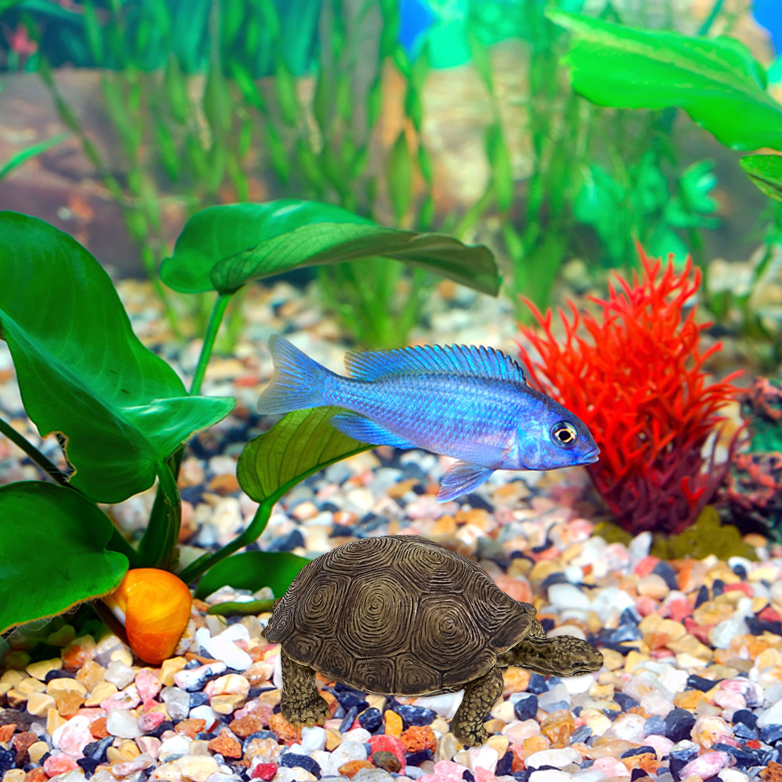 2Pcs Realistic Turtle Sculptur - Marine Life Aquariums ulasan dan harga