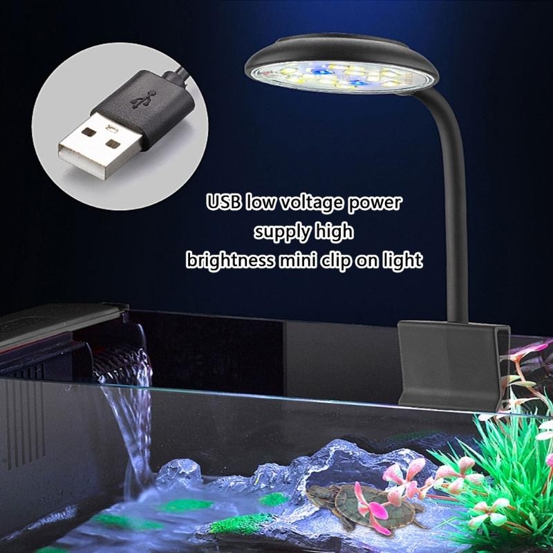 Adjusting Brightness LED Aquar - Marine Life Aquariums ulasan dan harga