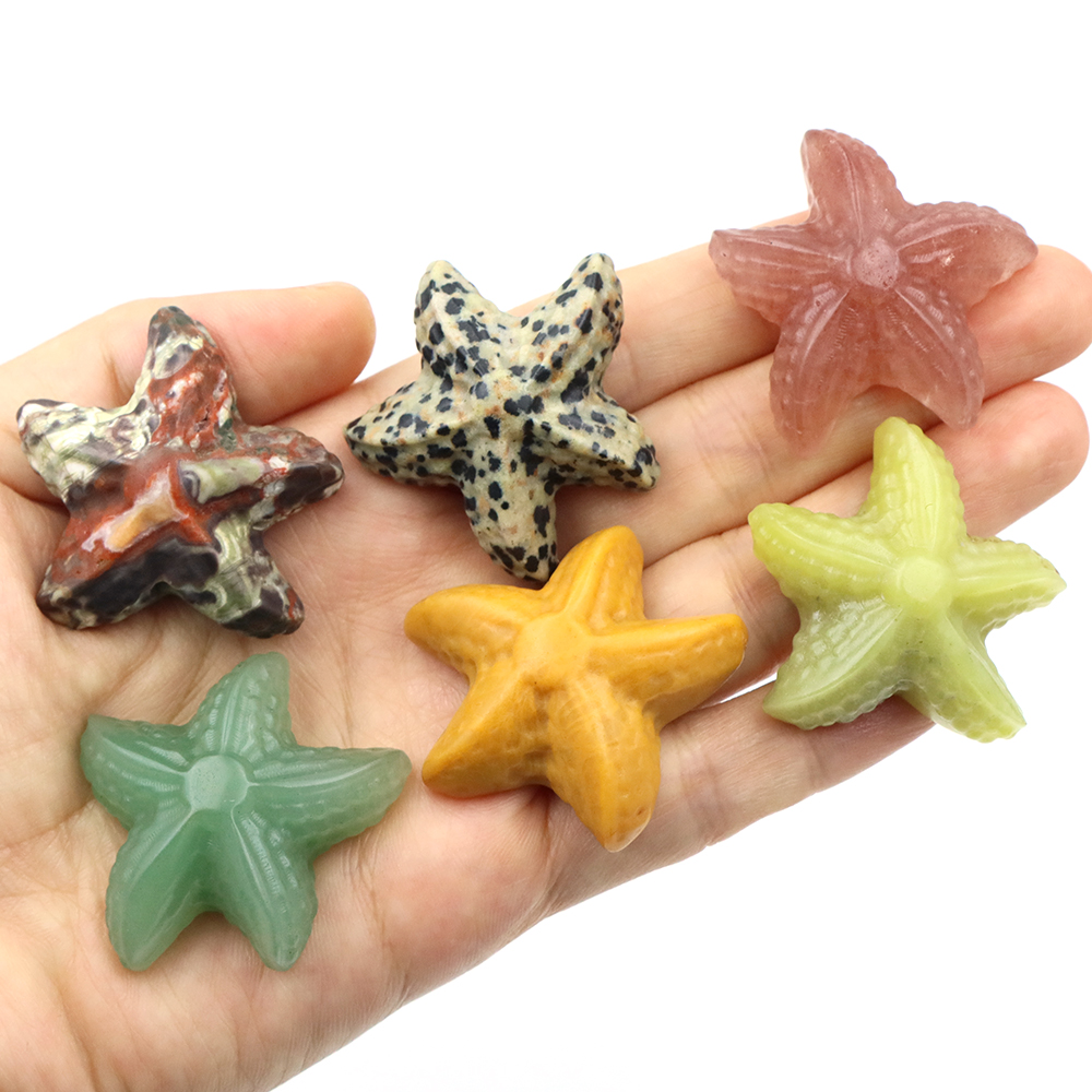 35mm Starfish Shape Statue Mar - Marine Aquarium & Regional Centre Photos ulasan dan harga