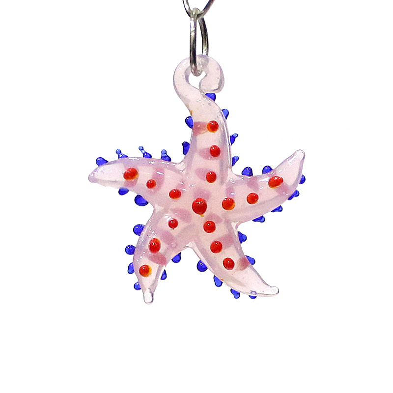 Cute Marine Animal Starfish Ch - Marine Aquarium & Regional Centre Photos ulasan dan harga