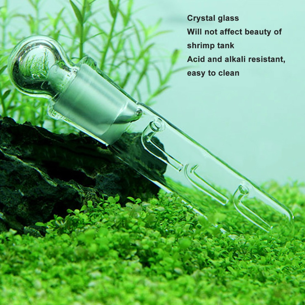 3pcs Easy to Use Transparent P - Marine Aquarium Glass Cleaner ulasan dan harga