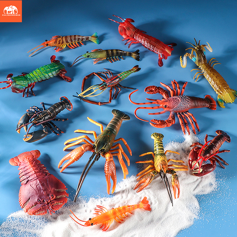 Sea Life Animals Boston Lobste - Marine Life Aquariums ulasan dan harga