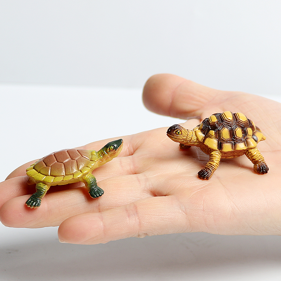 Realistic Miniatures Marine Li - Marine Aquarium & Regional Centre Photos ulasan dan harga
